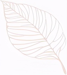 小微创业基地宣传片,创业成功人士的摇篮