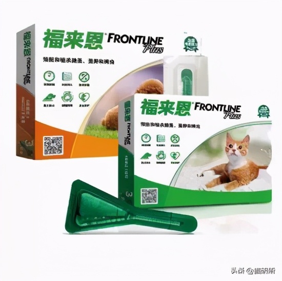 驱虫药怎么选？10个基础问题答疑