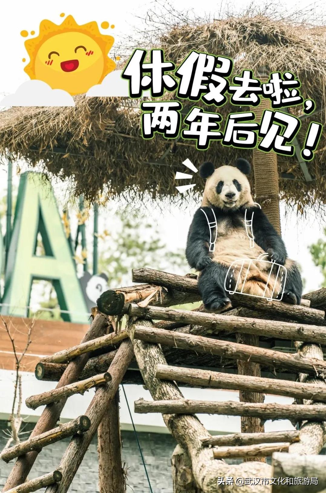 九峰森林动物园与武汉动物园,武汉野生动物园九峰山动物园