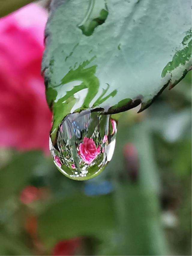 手拍世界微信公众号,手拍世界283期