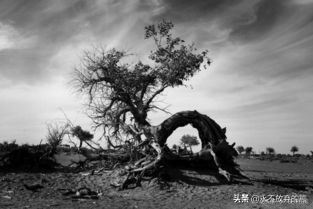 “轮椅作家”方华清：路长情更长