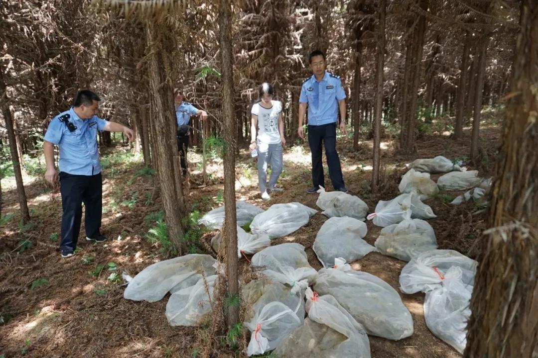 公安查处非法经营野生动物案,监利非法经营野生动物案