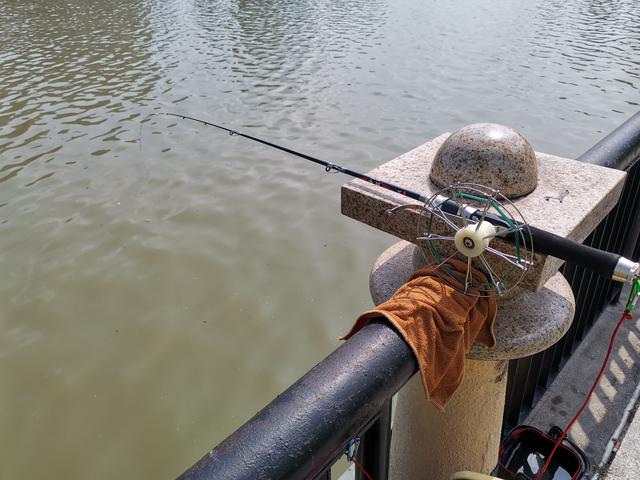 冬天筏竿钓土鲮,筏竿钓大土鲮