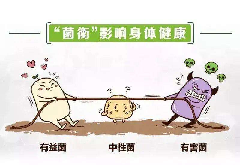 打碎行业固态，悦年轻益生元为女性健康补充益生菌