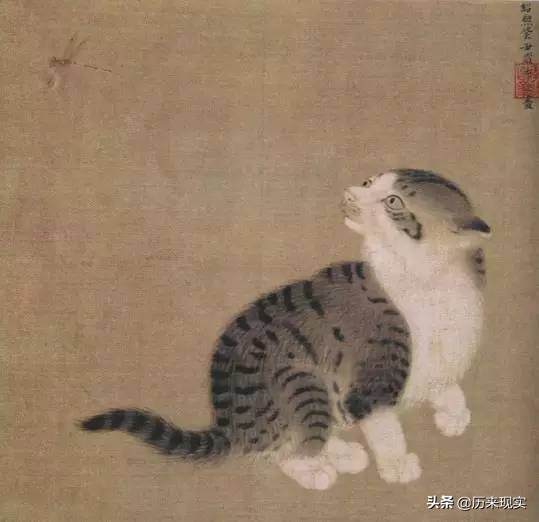 人类漫长的历史上，喵星人虽然受过冤屈*害迫**，但宠爱总多上几分