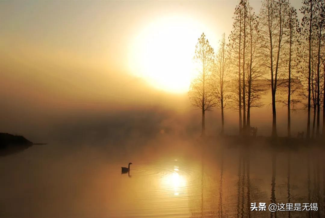 无锡秋游胜地最全推荐,无锡秋游自驾绝佳去处