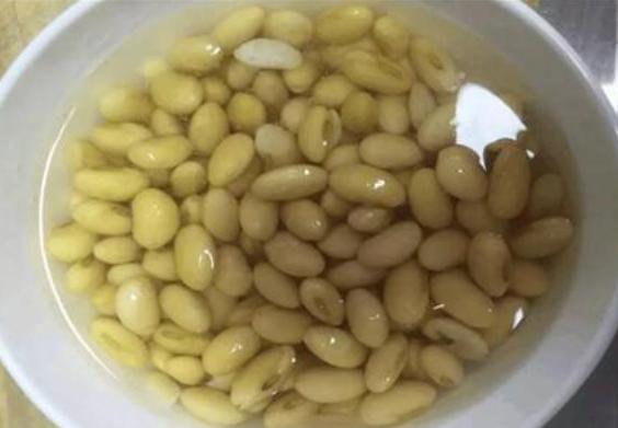 不换盆也能改善土壤,土壤板结不用怕一招解决