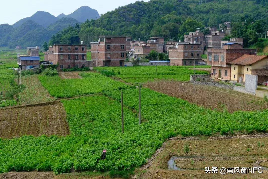 村里的打工仔照片,村里年轻人返乡成网红