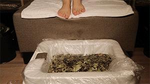 艾草艾灸的正确方法,艾草艾灸驱虫