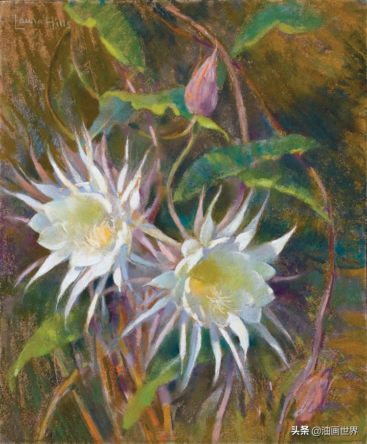 英国画家安妮静物花卉,美国女画家简莱特曼花卉作品