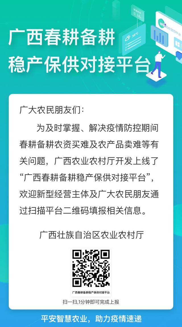 广西钦州有没有野生五指毛桃,广西种植五指毛桃致富