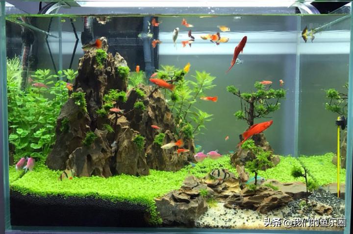 鱼缸过滤器最新款一米二缸,圆鱼缸过滤器最新款免换水