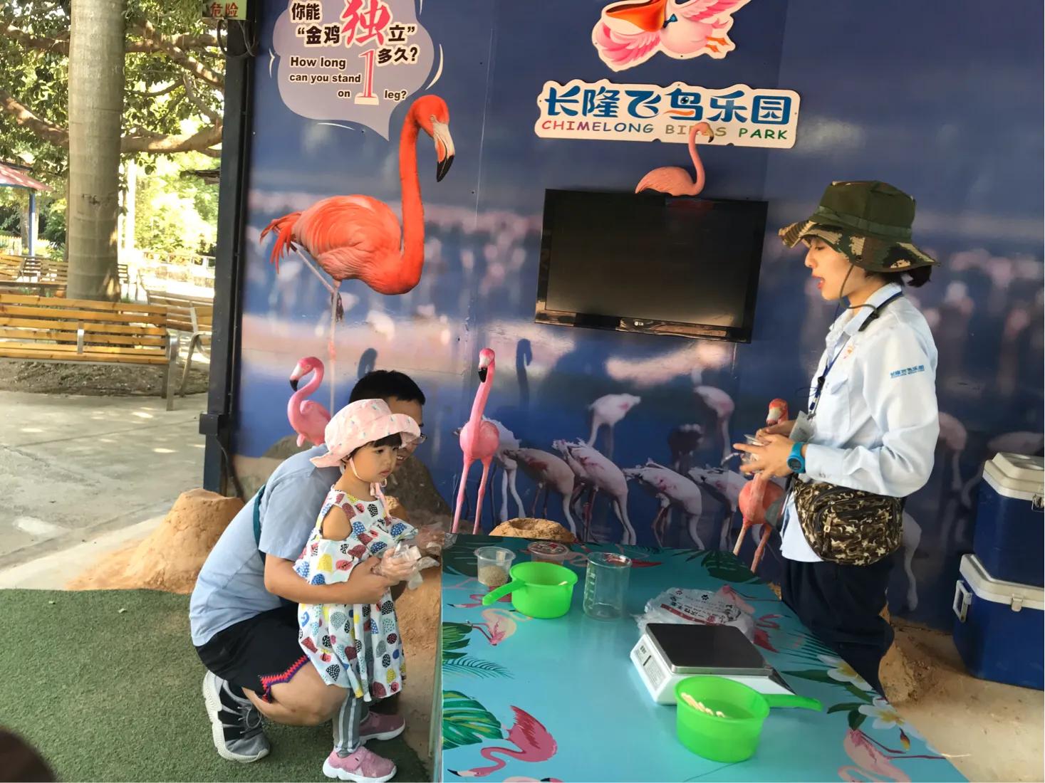 长隆飞鸟乐园拍鸟攻略,广州长隆飞鸟乐园可以摸哪些鸟