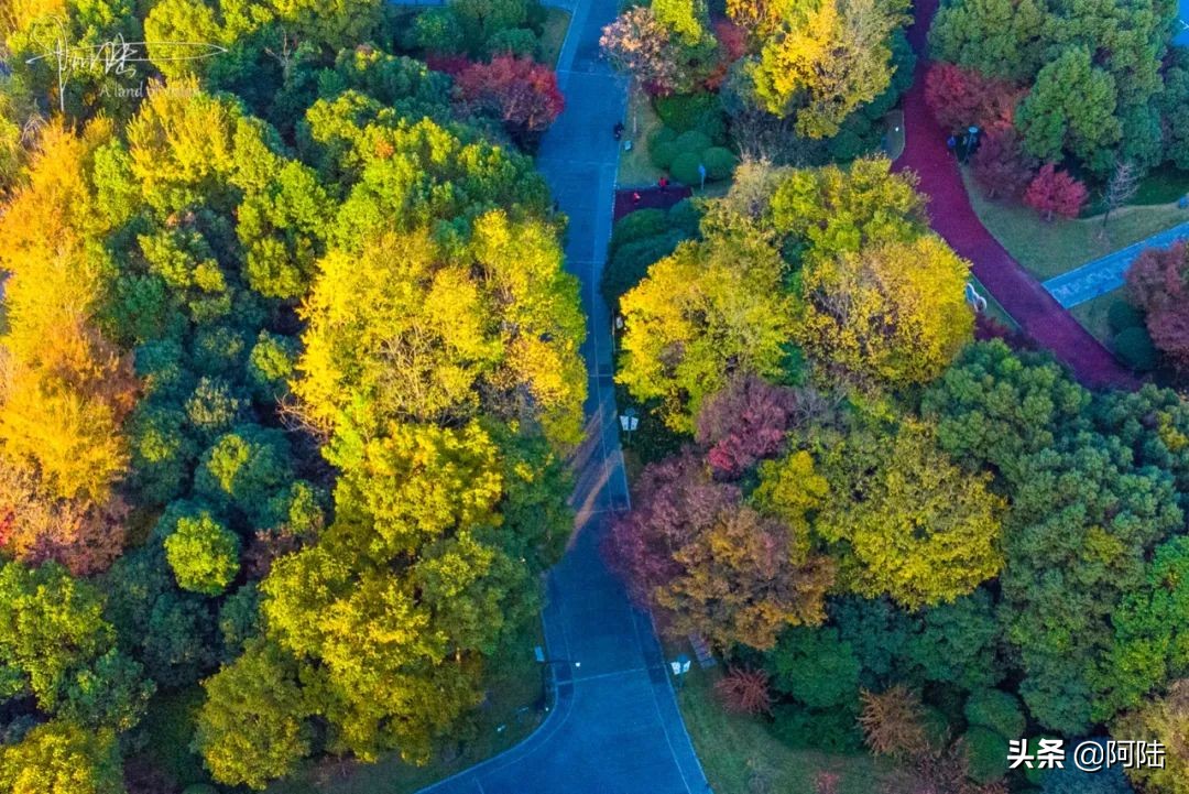 航拍公园篮球场,航拍李宁体育公园