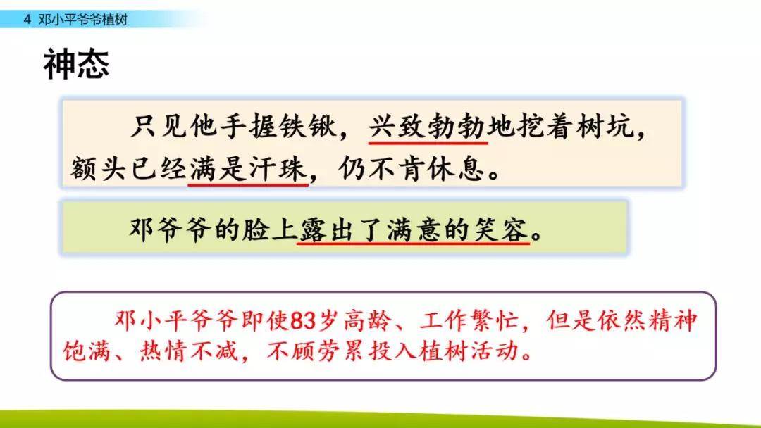 部编版二年级下册语文第4课《*小平邓**爷爷植树》知识点+图文讲解
