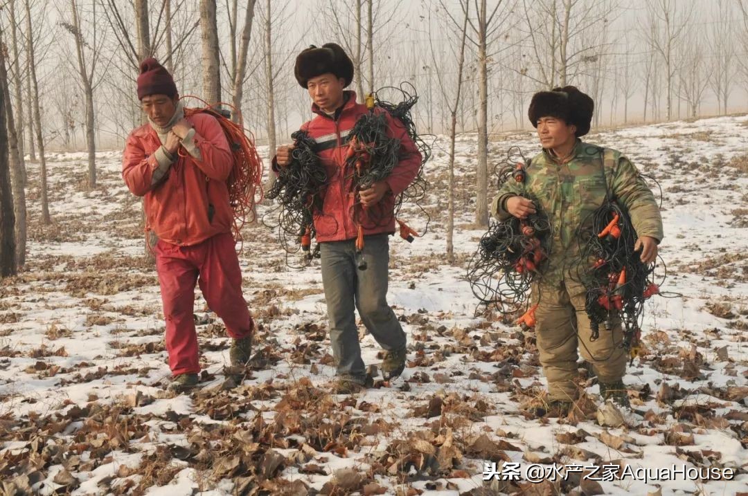 全国水产市场干货最新价格,水产市场每日最新报价