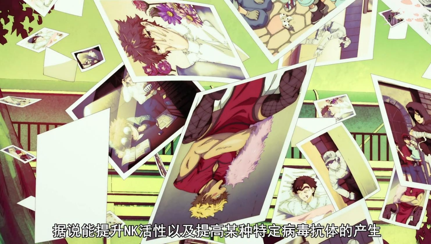 黑历史曝光！NK姐贵是“小公主”，白细胞曾为胖子，反差萌亮了