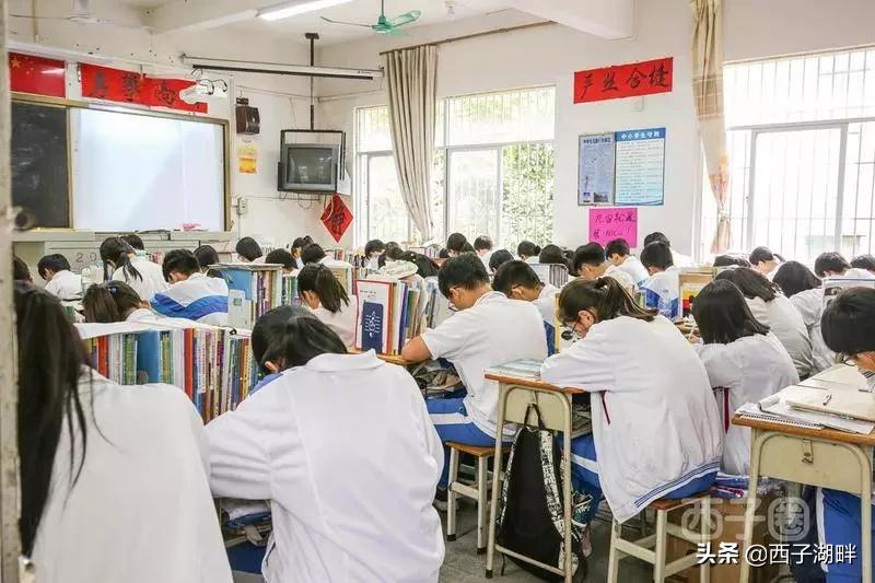 惠州镇隆荔枝什么品种,惠州镇隆自摘荔枝在哪