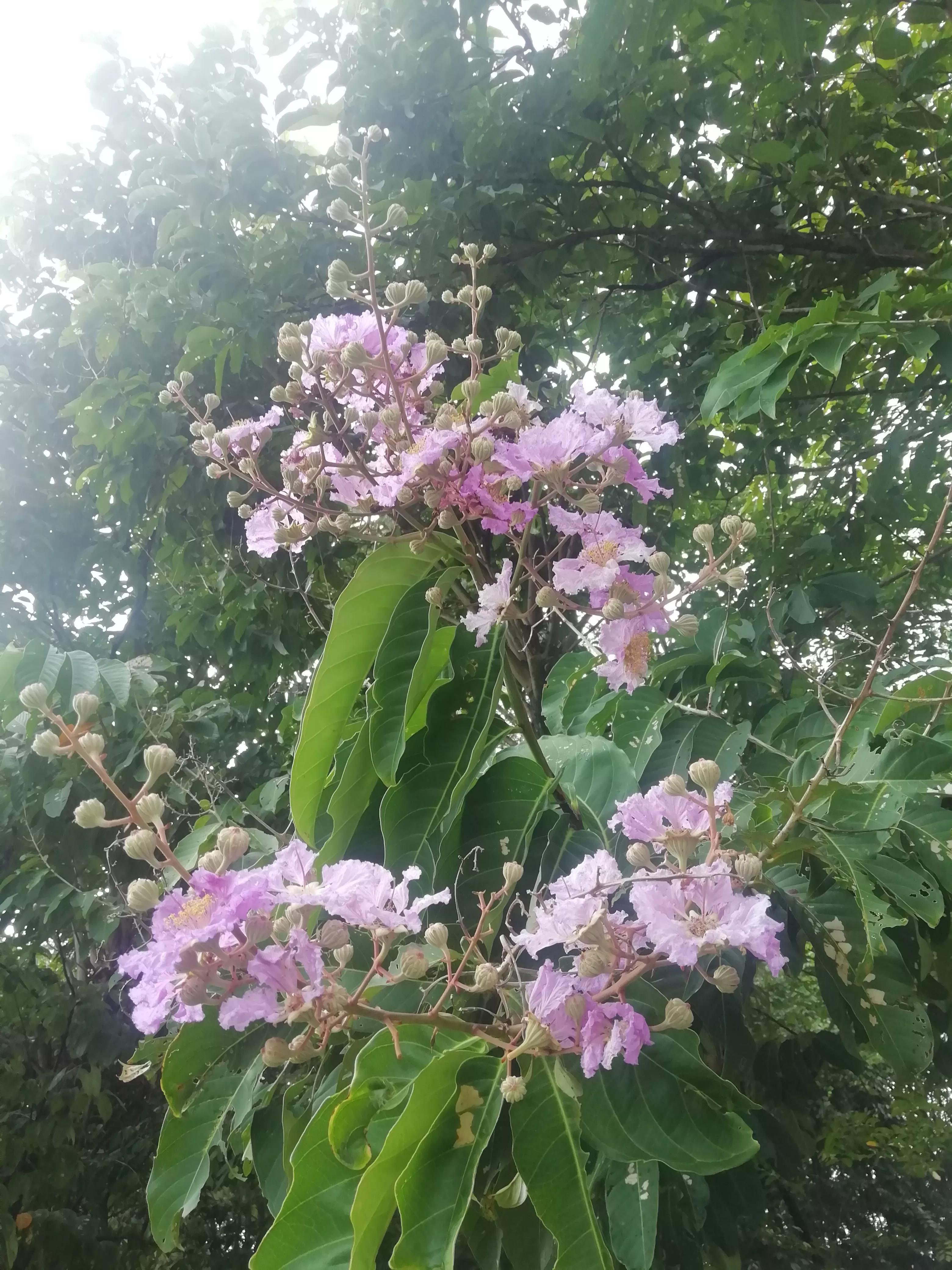 如何快速健康减肥20斤,快速健康减肥一日三餐