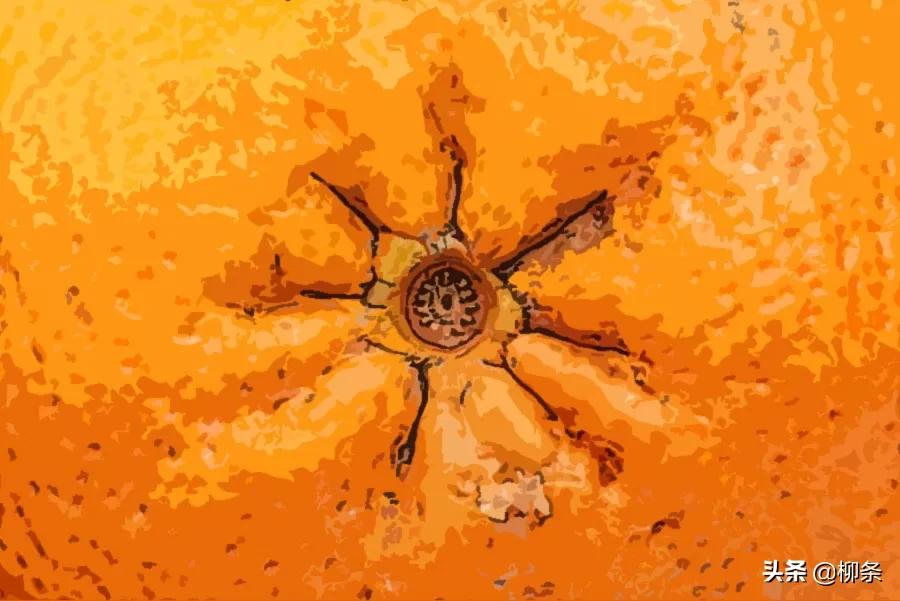 菊花残，满地伤！现在*眼屁**不好的年轻人，越来越多了