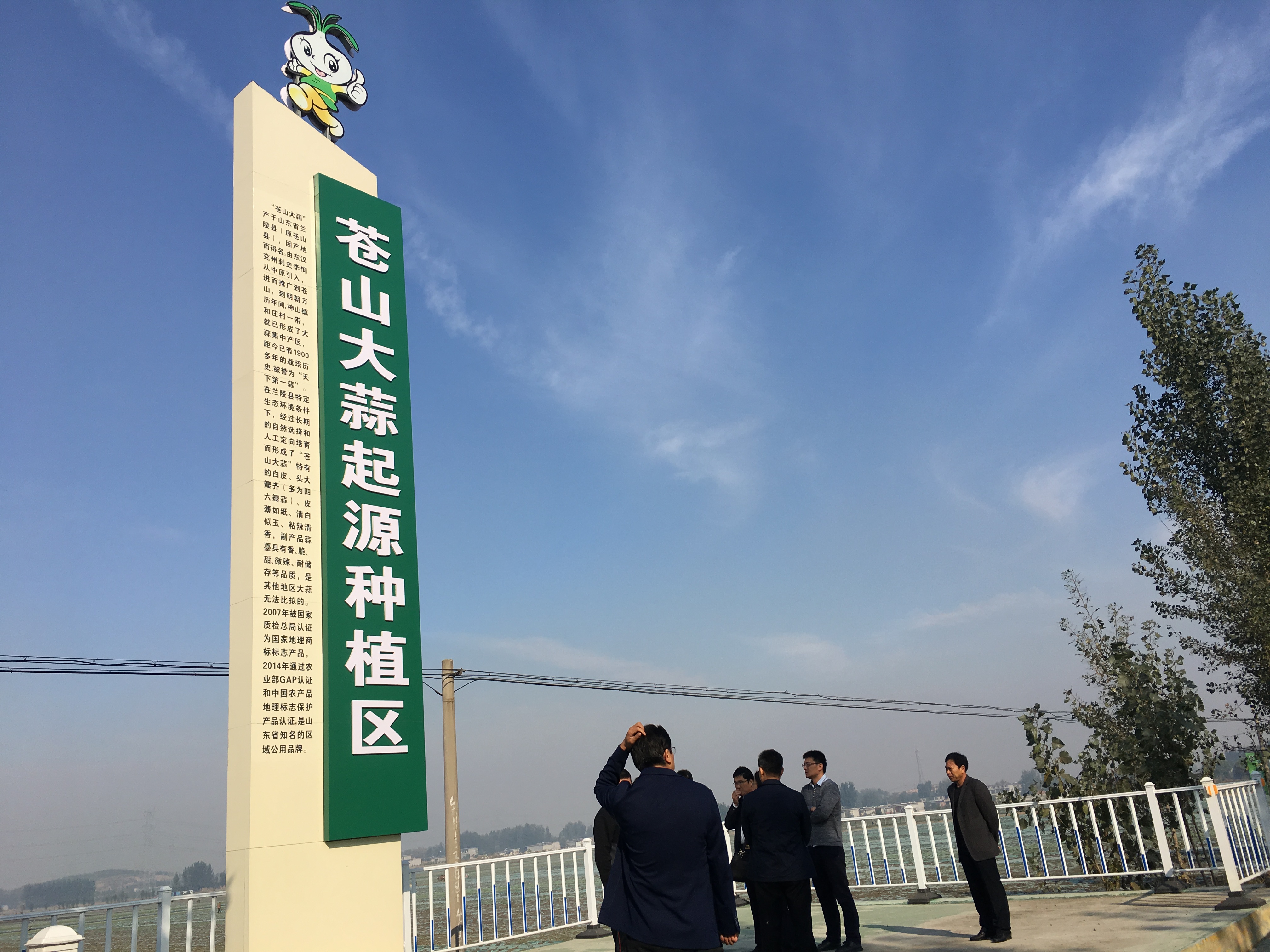 一则关于蒜薹的往事，曾被莫言写成小说，告诫要以群众利益为先