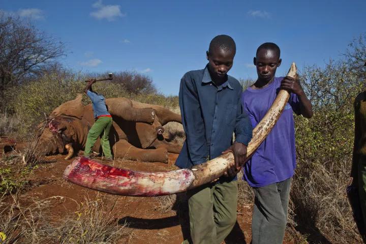 被已婚男欺骗致怀孕一尸两命,女孩儿被骗怀孕最后被杀害