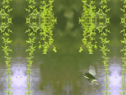 散文篇目推荐,散文题材推荐