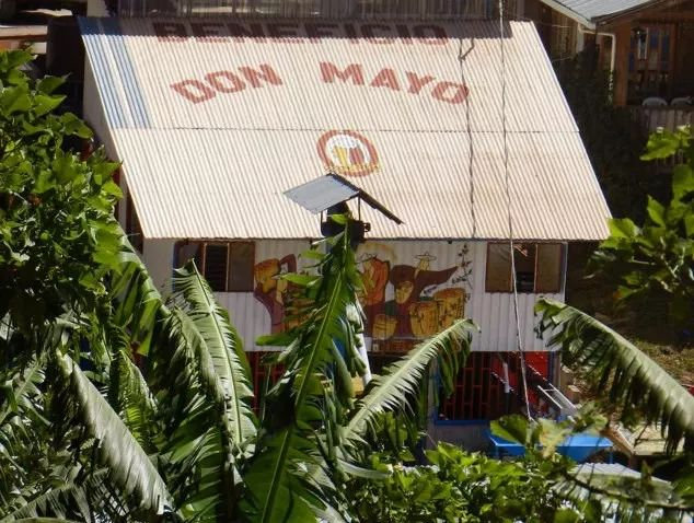 肯尼亚咖啡豆产区,世界四大产区顶级阿拉比卡咖啡豆