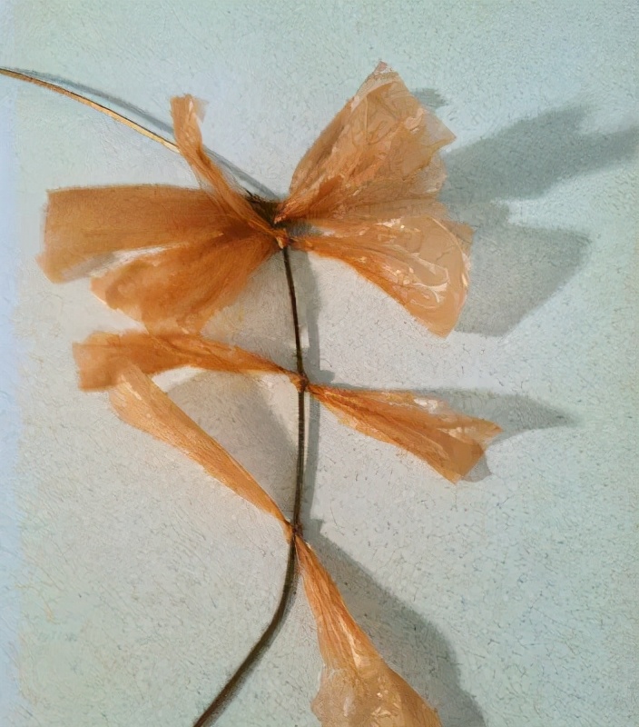 有塑料袋的手工,用塑料袋做的手工活