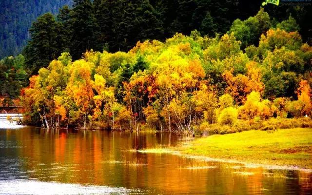 邂逅秋天的千岛湖！光看图已美醉，住这7家美宿避开人群赏湖景山色
