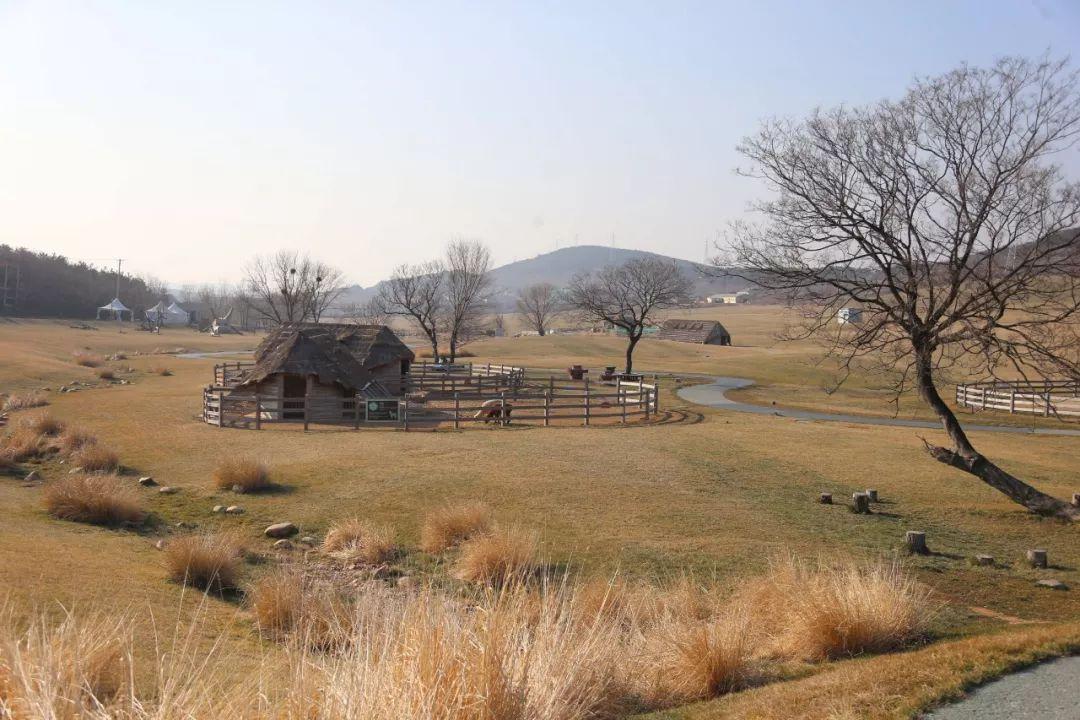 体验+创新+成长首届三寰牧场冬季大集开启