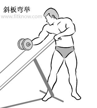 哑铃锻炼肱二头肌方法图解全套,哑铃下蹲锻炼方法图解