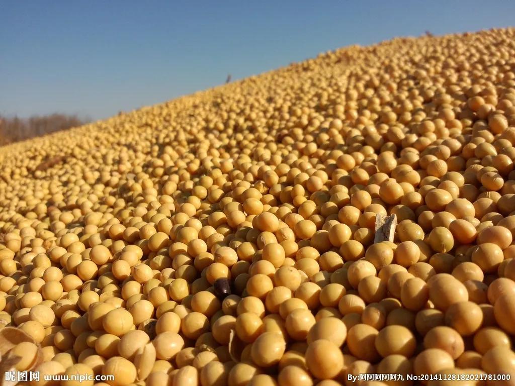 首钢尾气制乙醇,首钢合成蛋白价格有优势吗