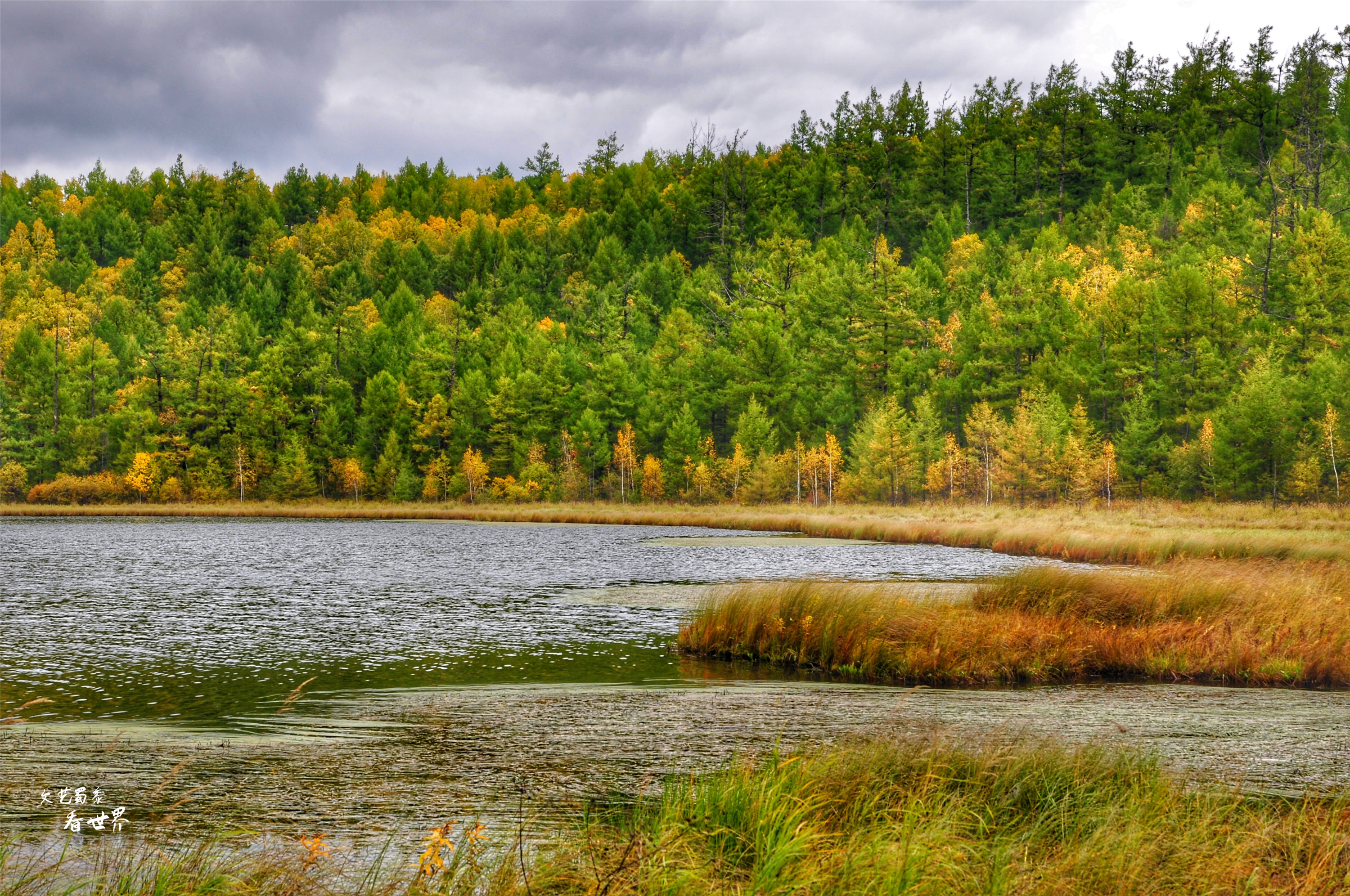 阿尔山的冬天就是童话世界,如果你第一次来到草原会感叹什么