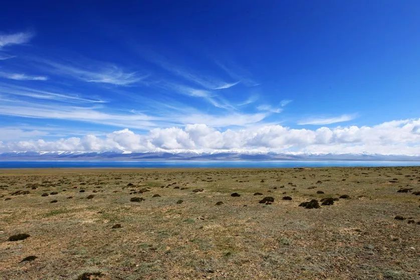 哈拉湖秘境,哈拉湖无人区游玩攻略