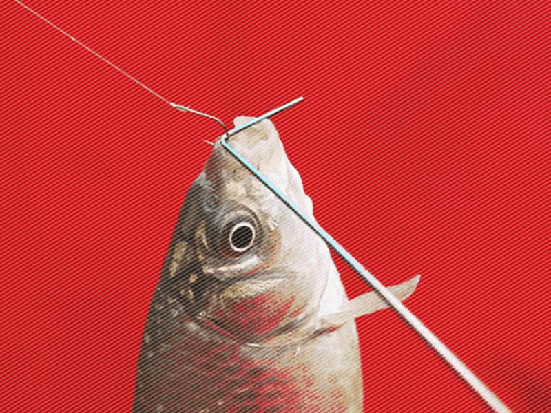 子线防缠绕打结几种方法,子线打结和弯曲如何处理