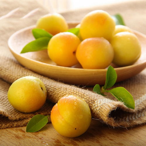 *疆新**的水果儿~~（一）