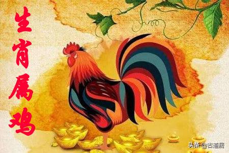 81年属鸡人2019年运势运程每月,李居明2019年属鸡运程