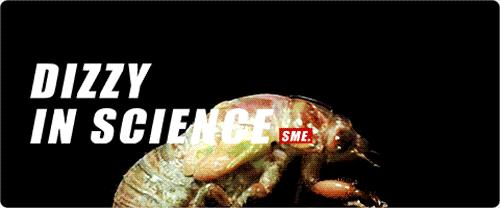 这种蝉中奇葩做了一道数学题，选择了一个让科学家想破脑袋的习性