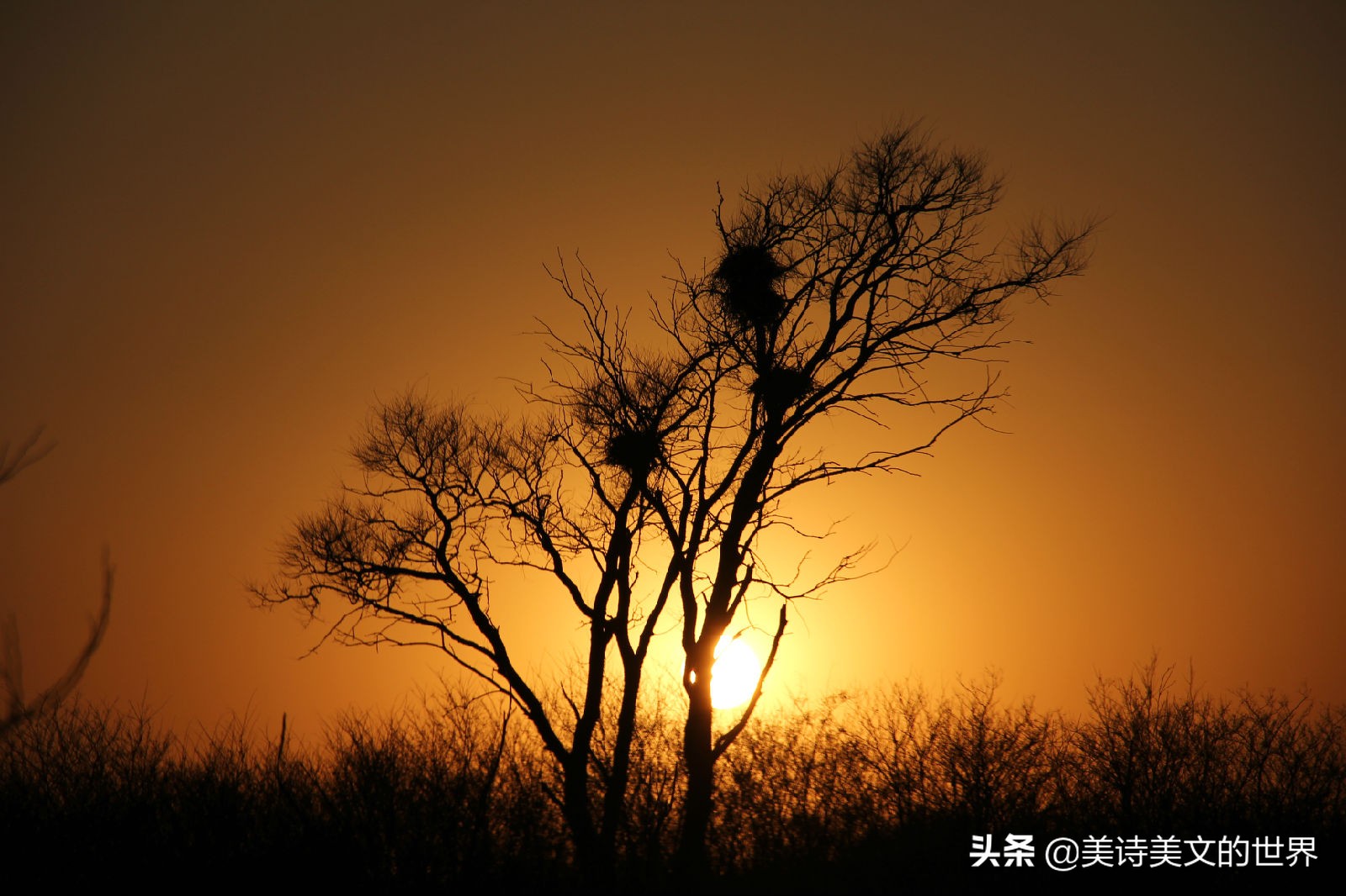 苏轼曾经说人生如逆旅我亦是行人,苏轼的名句人生如逆旅我亦是行人