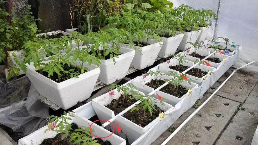 二培箱安装视频教程,池氏二培