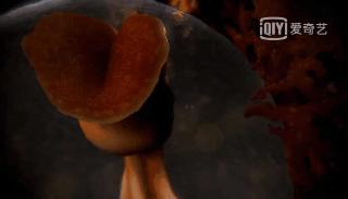 人体的奥秘你知道多少,人体的奥秘不简单