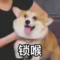 拼多多无良商家在哪里,拼多多官方店敢卖冒牌商品吗