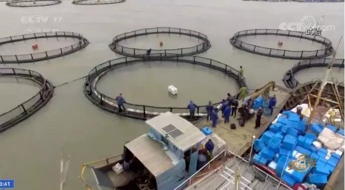 年过花甲，他重回“鬼门关”，抓出上亿黄金财