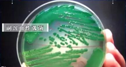 冰箱除菌除味最好的方法,冰箱除菌除味方法