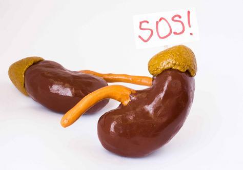 怎么鉴别是肾阳虚还是肾阴虚,怎么区分肾阳虚和肾阴虚的方法