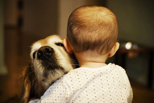 幼儿日常亲子英文怎么学,抱抱英语口语儿童