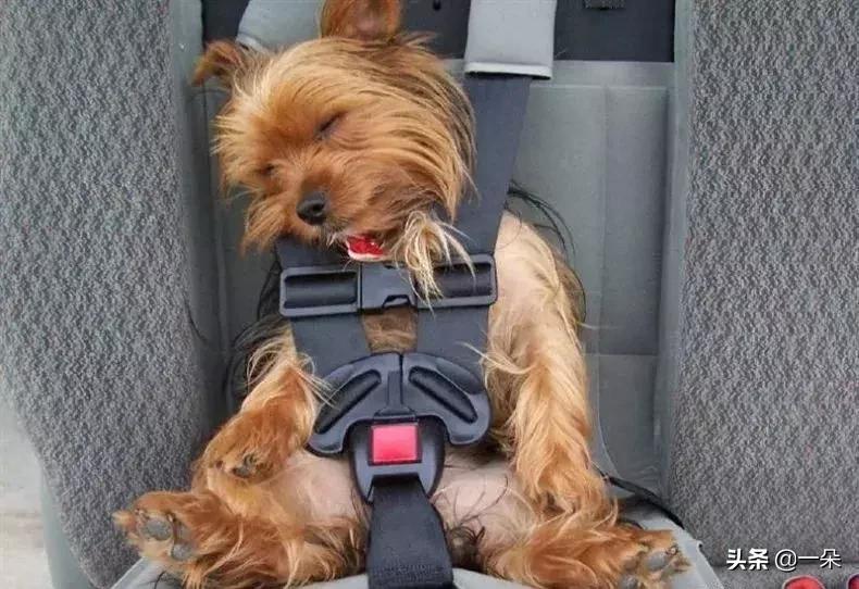 笑话视频笑得肚子痛,讲个笑话给孩子笑得肚子痛