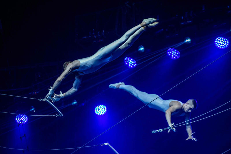 玩转广州长隆野生动物世界之行,广州长隆动物世界游玩攻略图