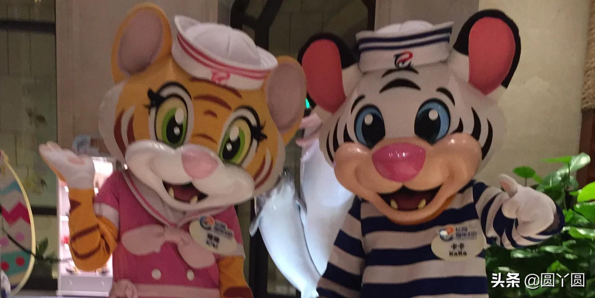 长隆海洋王国和长隆动物园哪个好,广州长隆海洋王国和珠海长隆